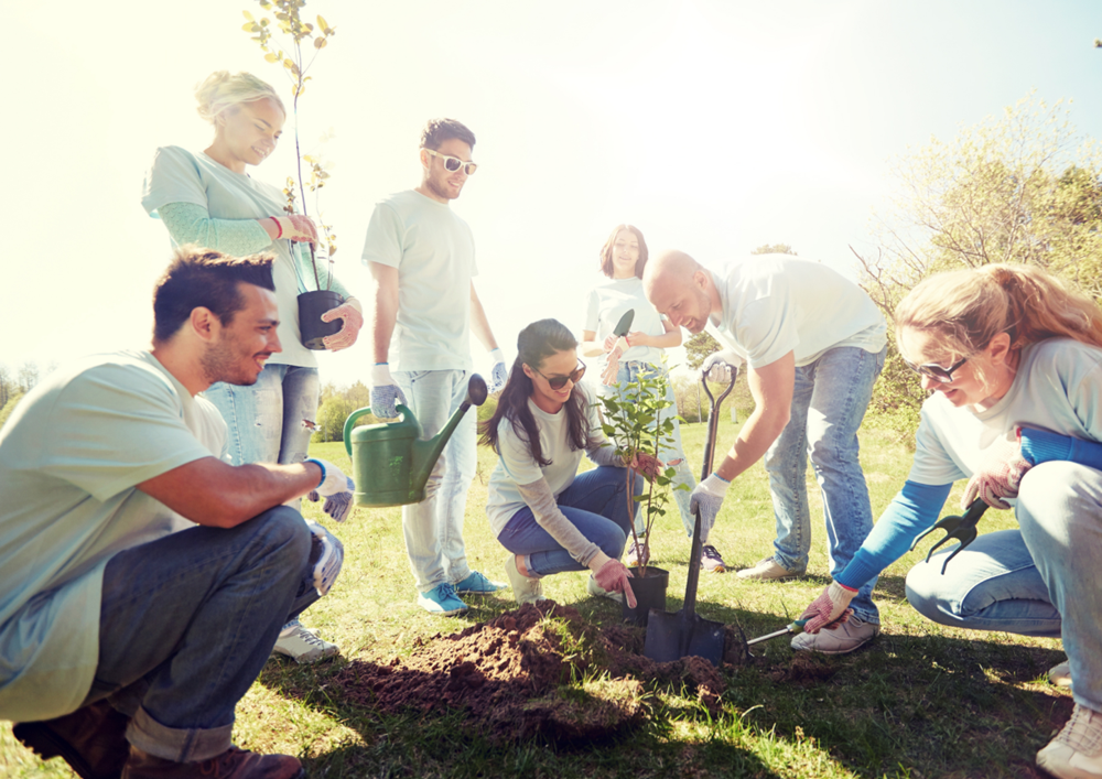 Certificate-Of-Participation-Planting-Trees-1224x865